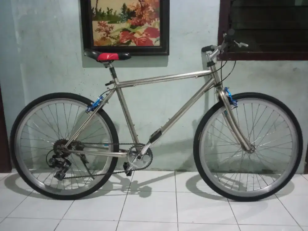 Sepeda Mtb r26 vintage jadul Master chromo