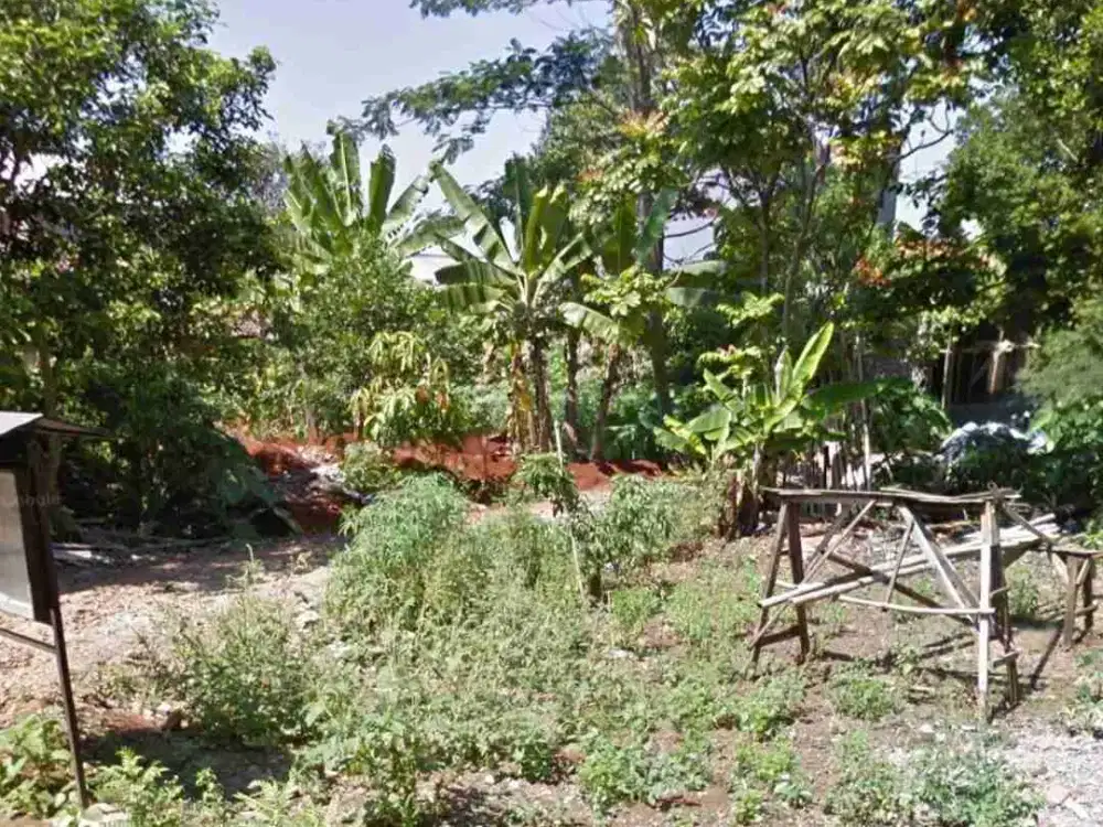 Tanah Tembalang Bulusan Undip