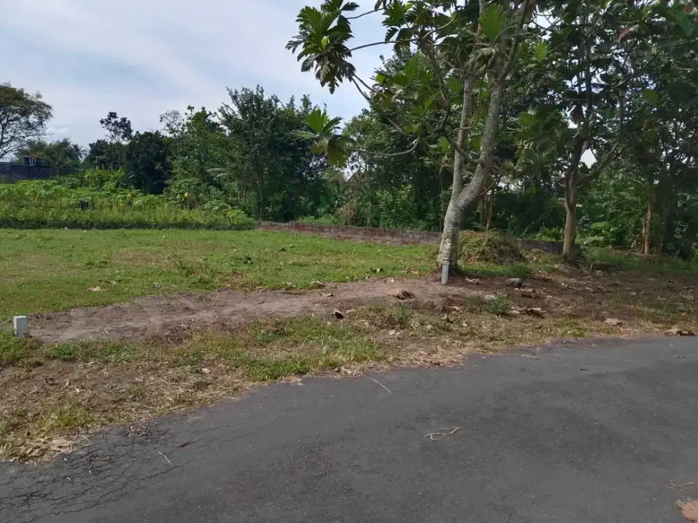 Tanah SLeman siap baliknama di jl kaliurang km 9,5