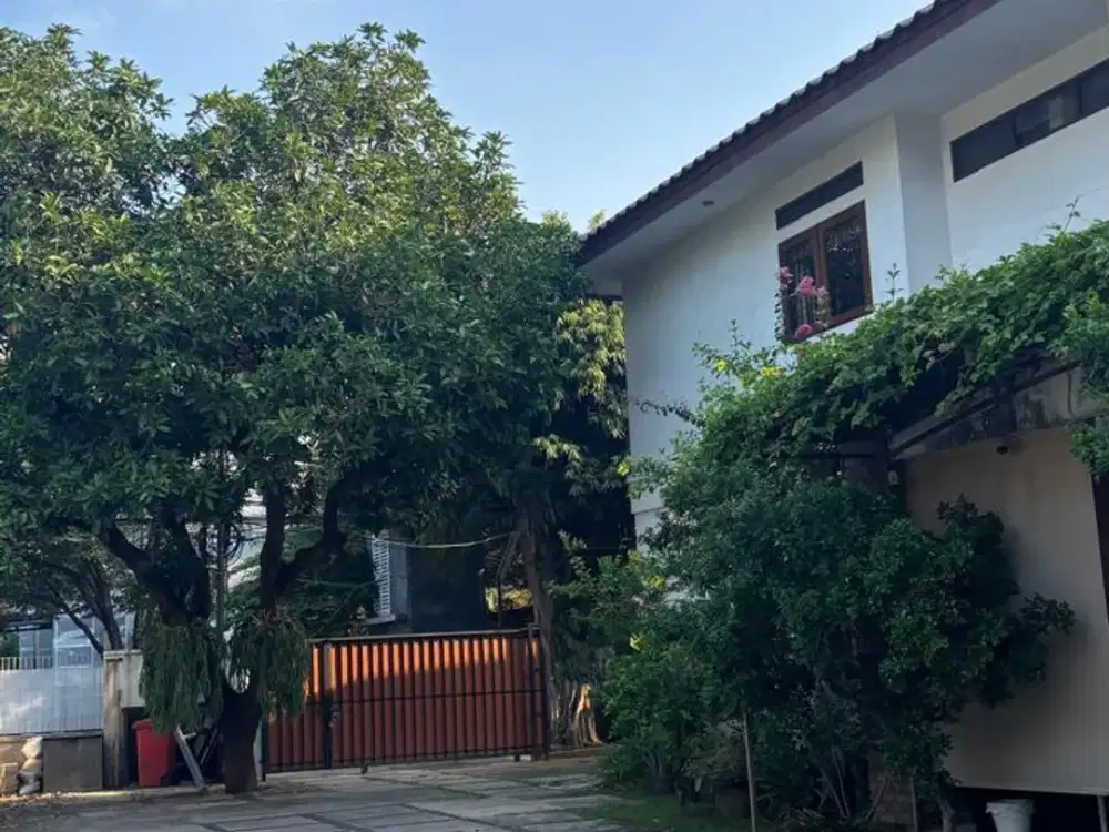 Jual Cepat Rumah Hitung Tanah Luas Terawat di Cilandak Belakang CiTos Cocok Utk Kantor atau Kos2an