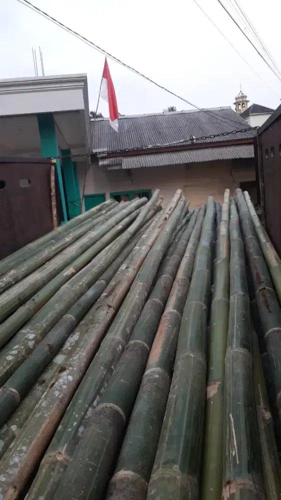 Jual bambu steger