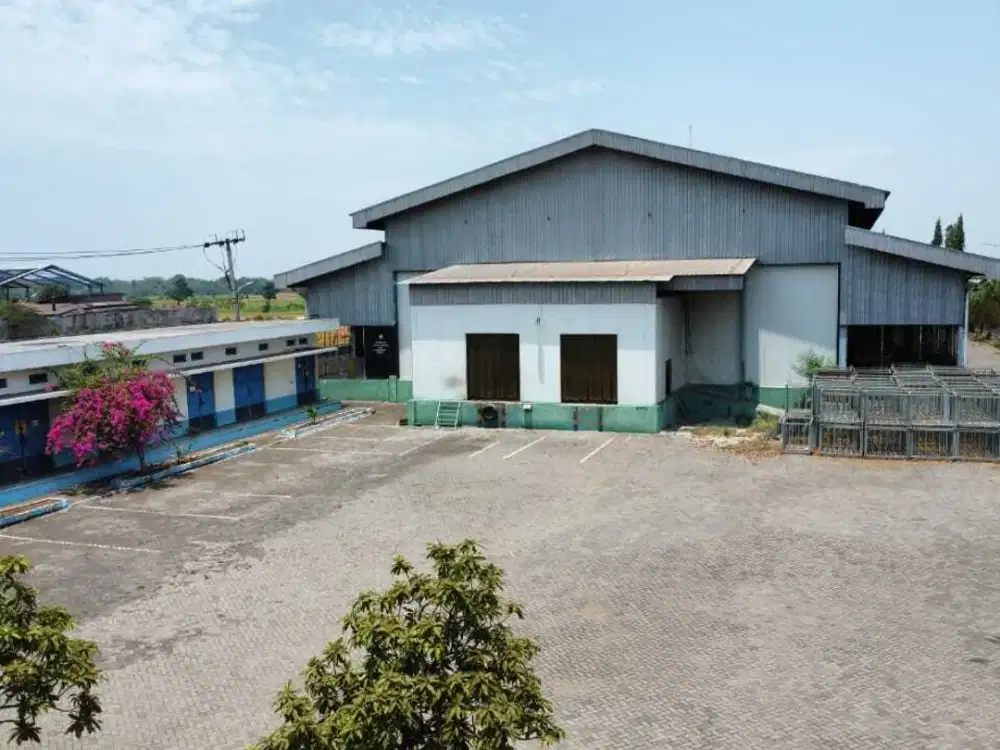 EX PABRIK SIAP PAKAI PASURUAN JAWA TIMUR