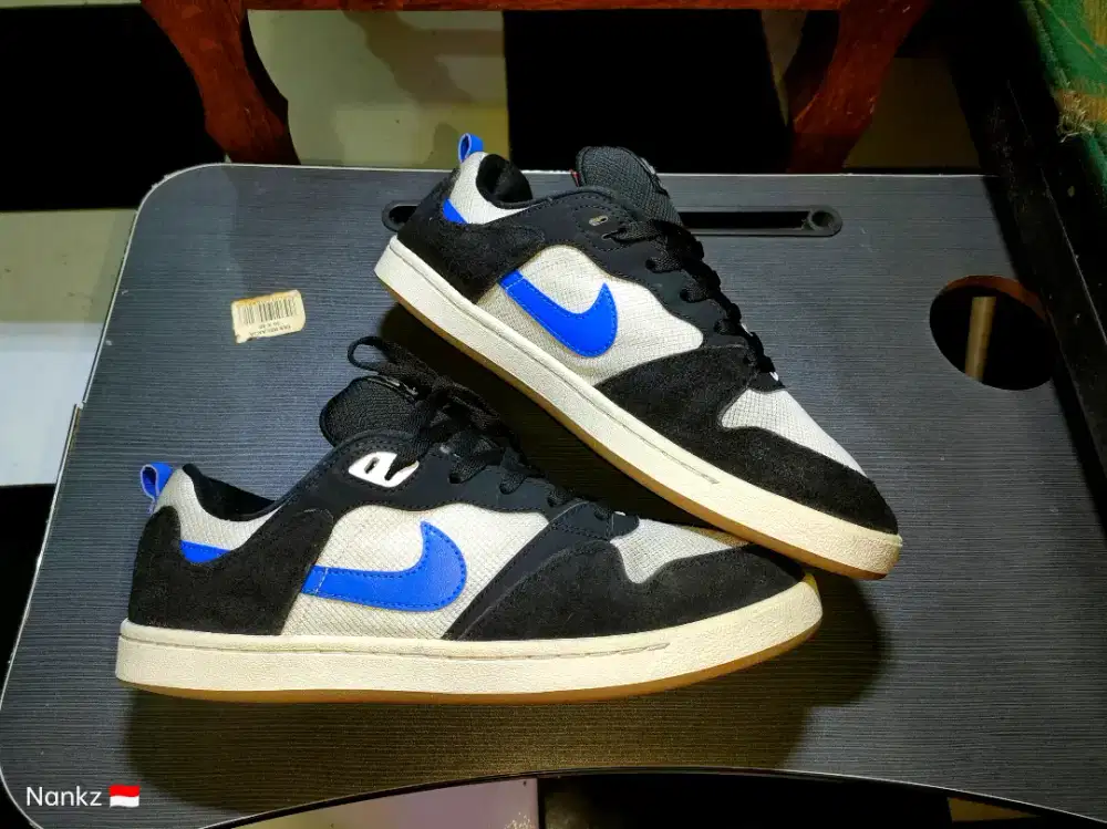 Nike SB alleyoop