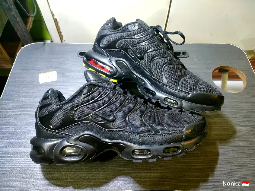 Nike air max plus TN