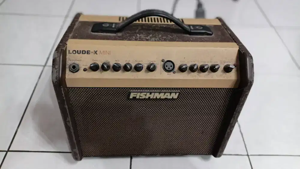 Ampli Gitar Fishman Loudbox FISHMAN PRO LBX EX5