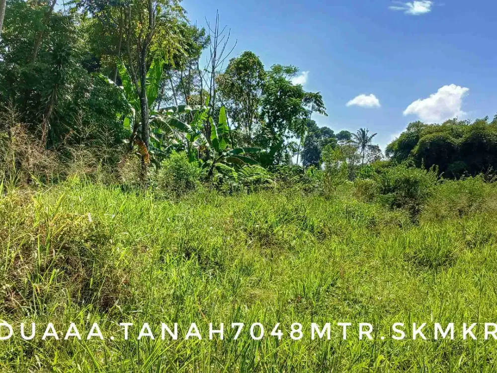Dijual tanah luas pinggir jalan daerah subur lokasi bagus view gunung