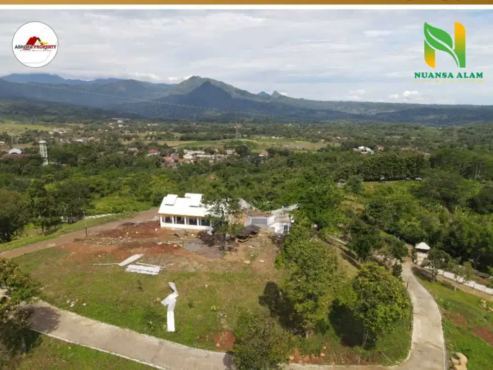 TANAH MURAH PINGGIR JALAN PROPINSI