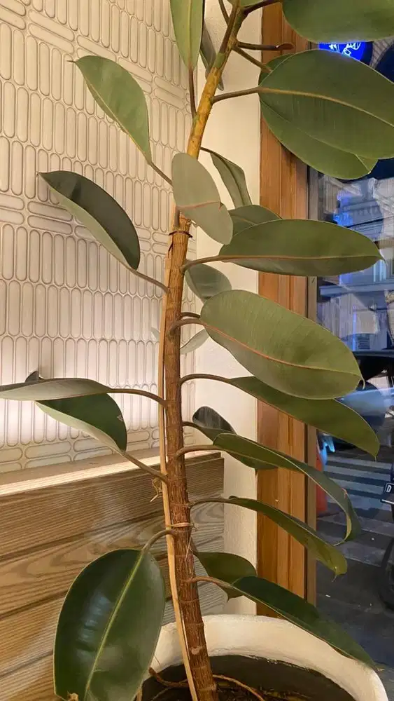 DICARI ART untuk mengurus rumah