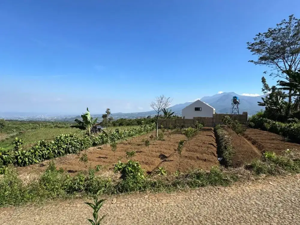 tanah kebun murah kota Batu cocok untuk villa kebun,ternak dan investasi