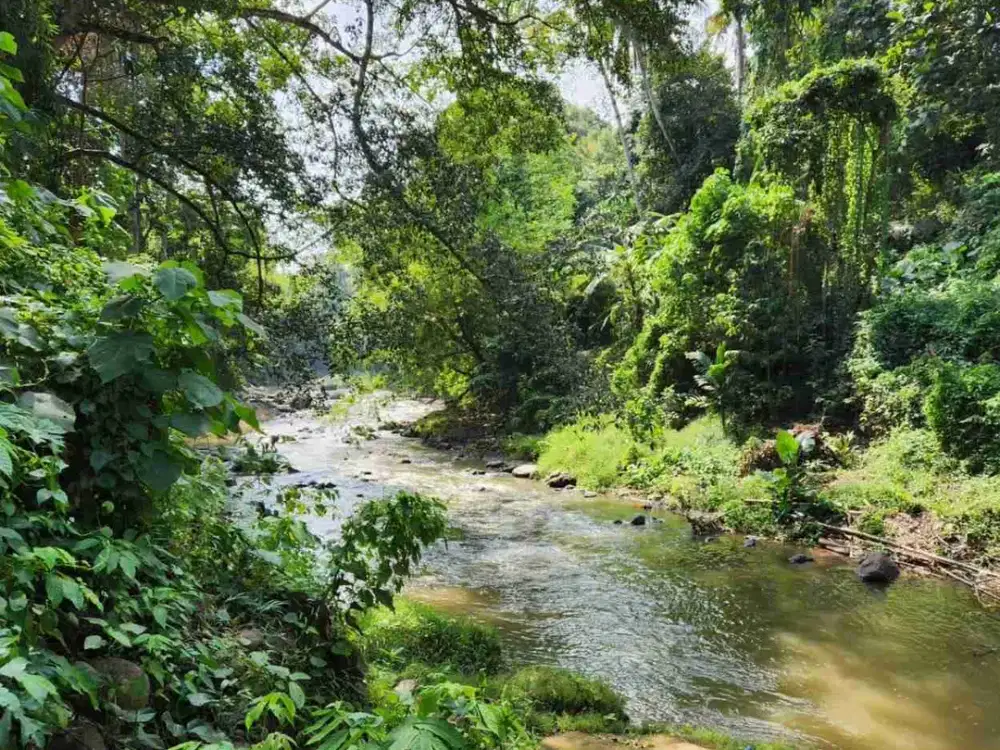 Jual Tanah di Pantai Nyanyi