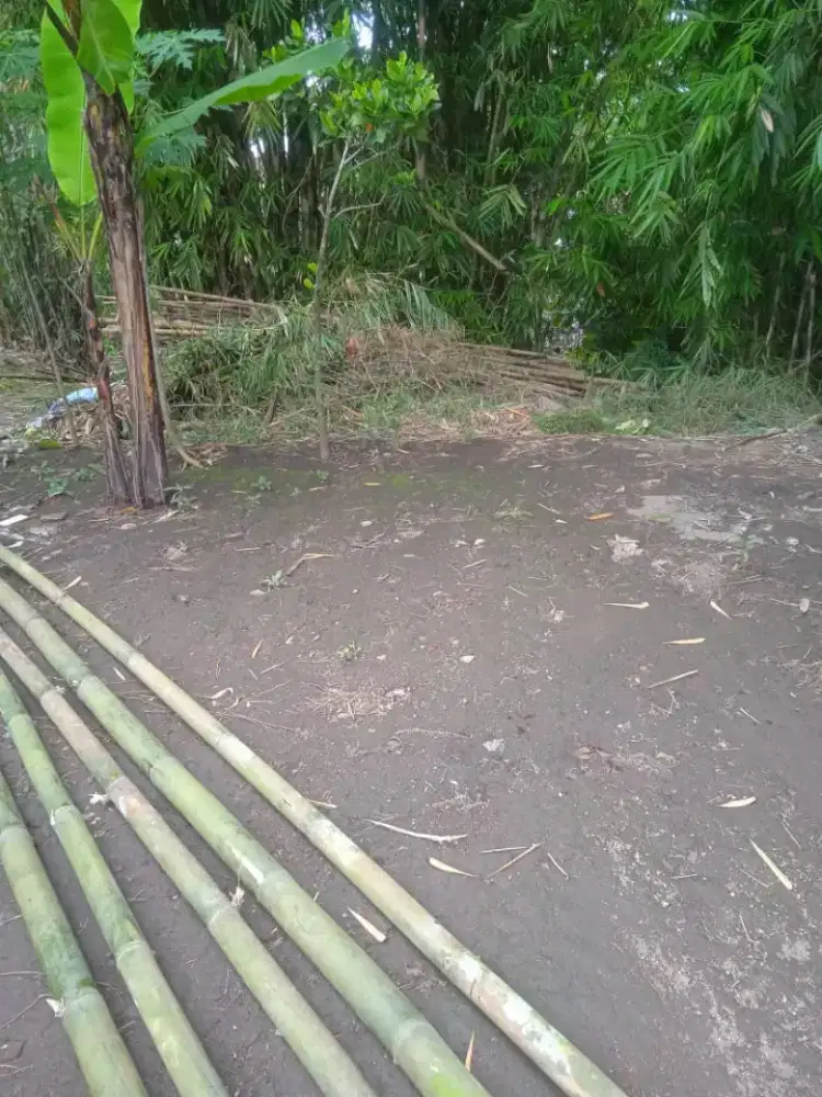 Dijual tanah di Secang Kabupaten Magelang Jateng