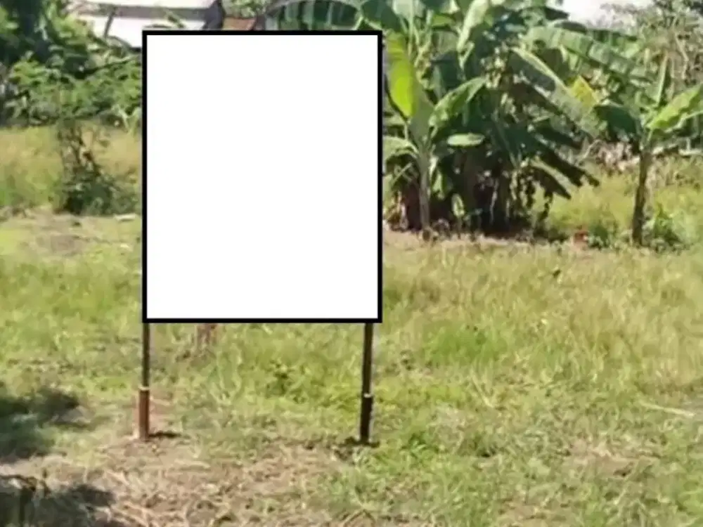 dijual tanah di prigi mranggen