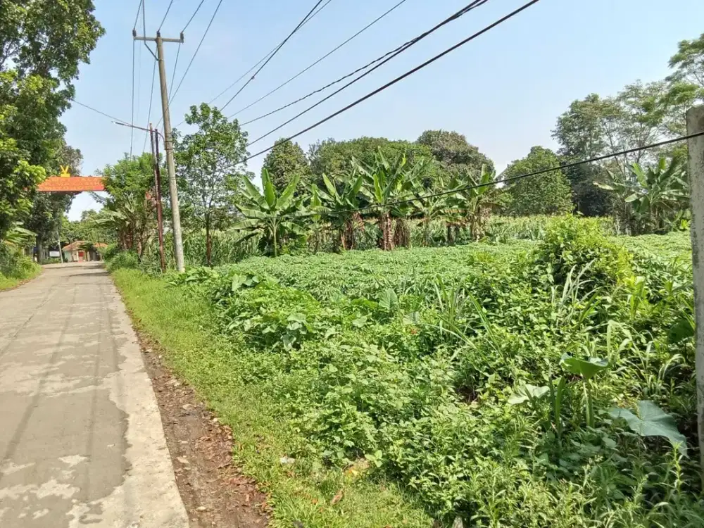 Dijual Tanah murah di Tajurhalang dekat stasiun Bojonggede