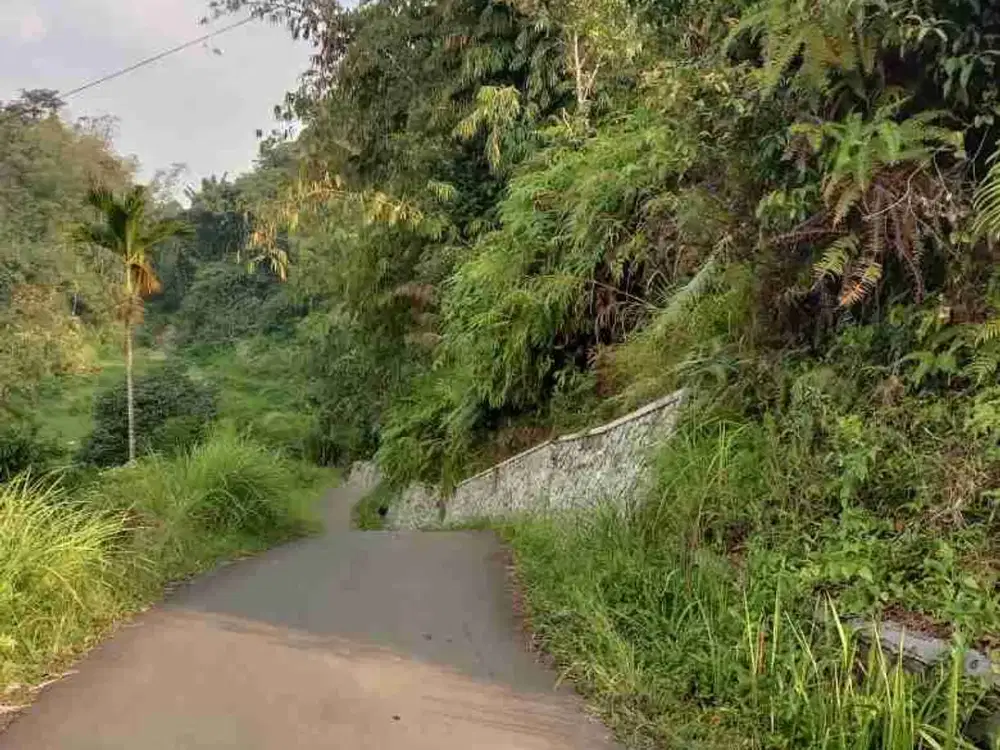 Dijual Cepat Tanah Murah Pinggir Jalan