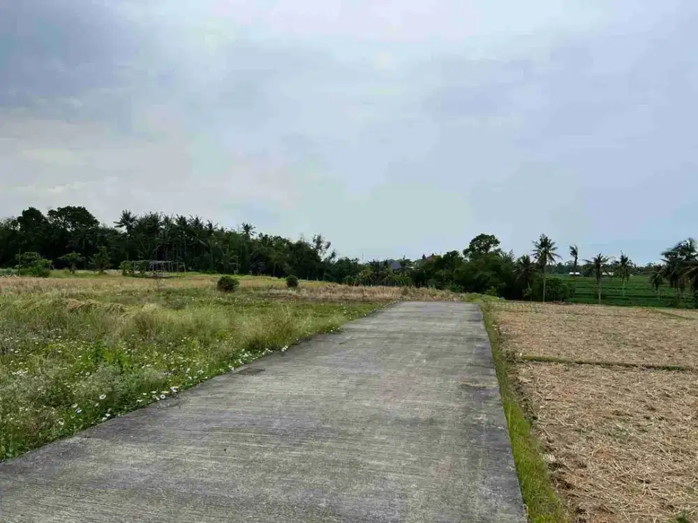 Jual Tanah dekat Pantai Kedungu