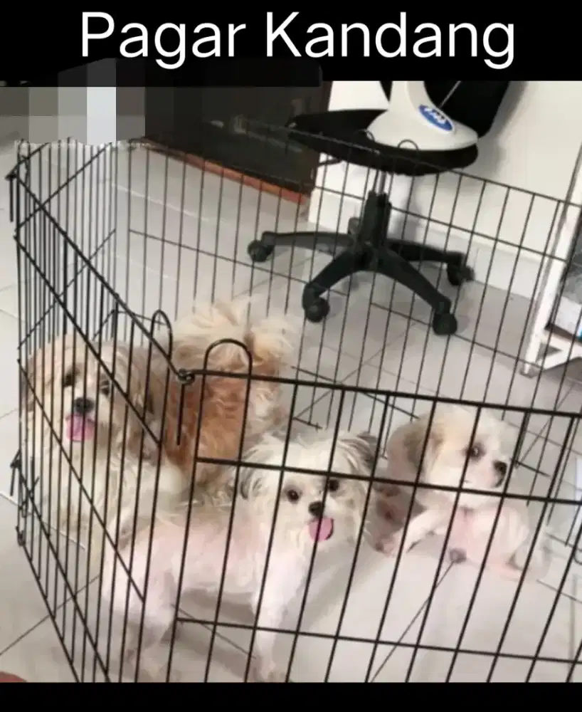 Pagar Umbaran / Kandang Hewan Nett