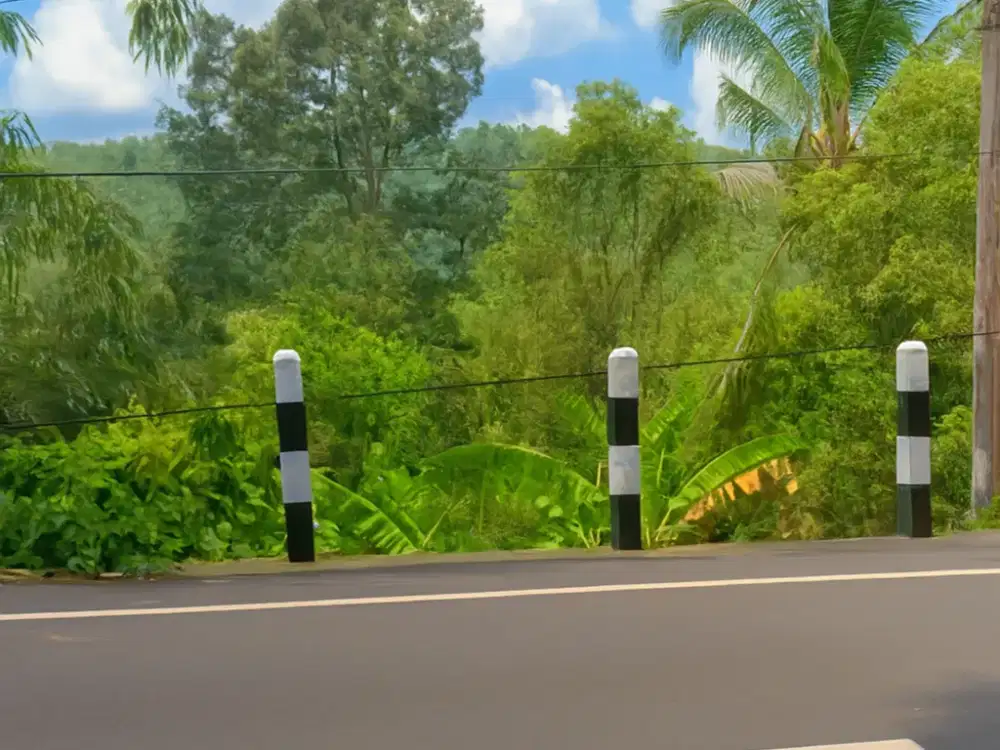 Dijual Tanah Kebun akses jalan utama luas 20 are di Munduk Buleleng Bali – Legalitas Aman