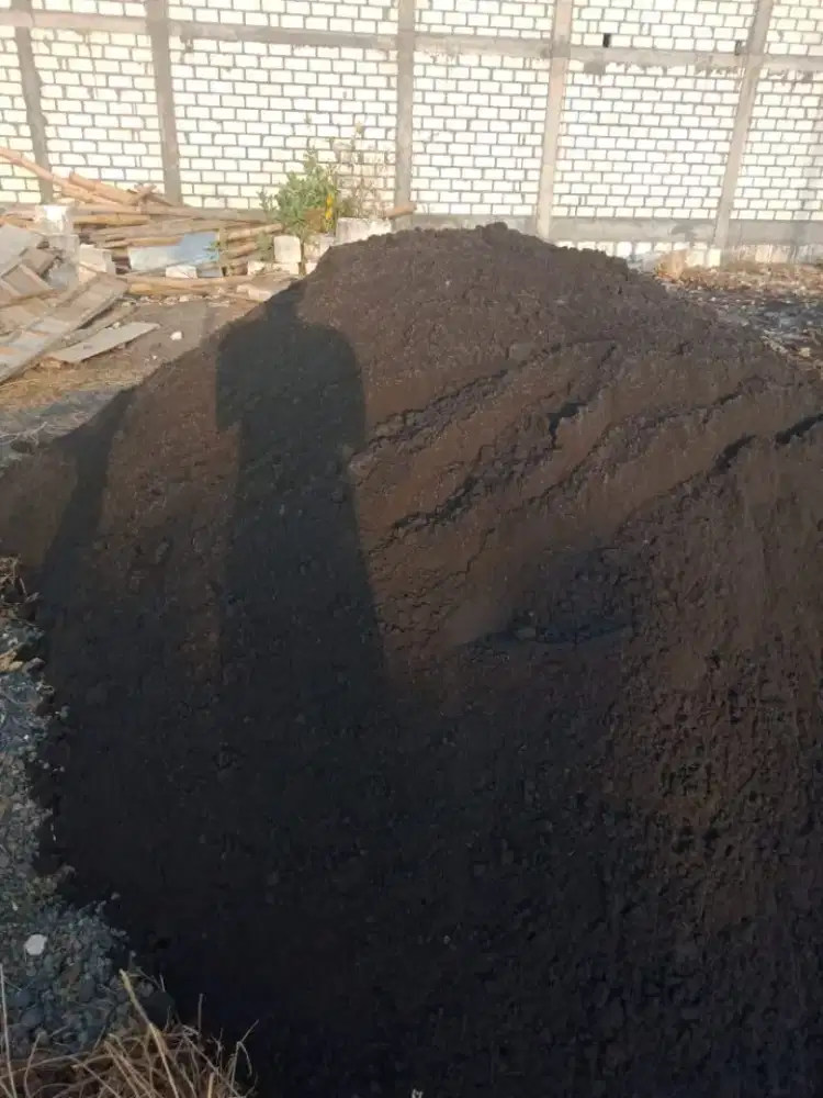 Pasir lumajang dan pasir cam pasir pasang pasir biasa