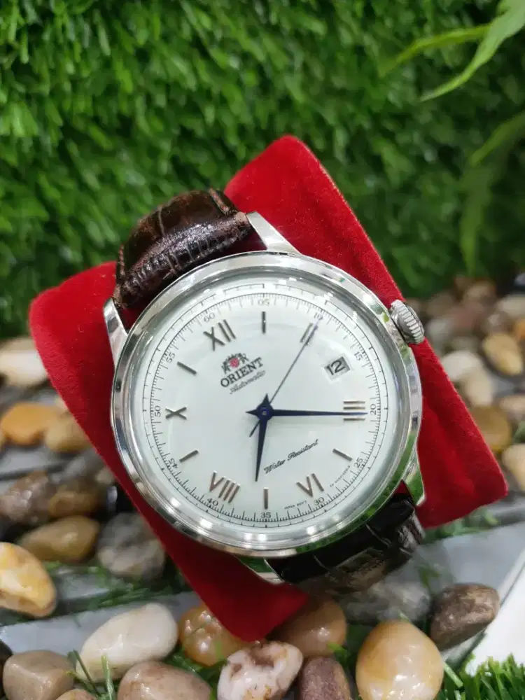 Orient Bambino Classic Automatic