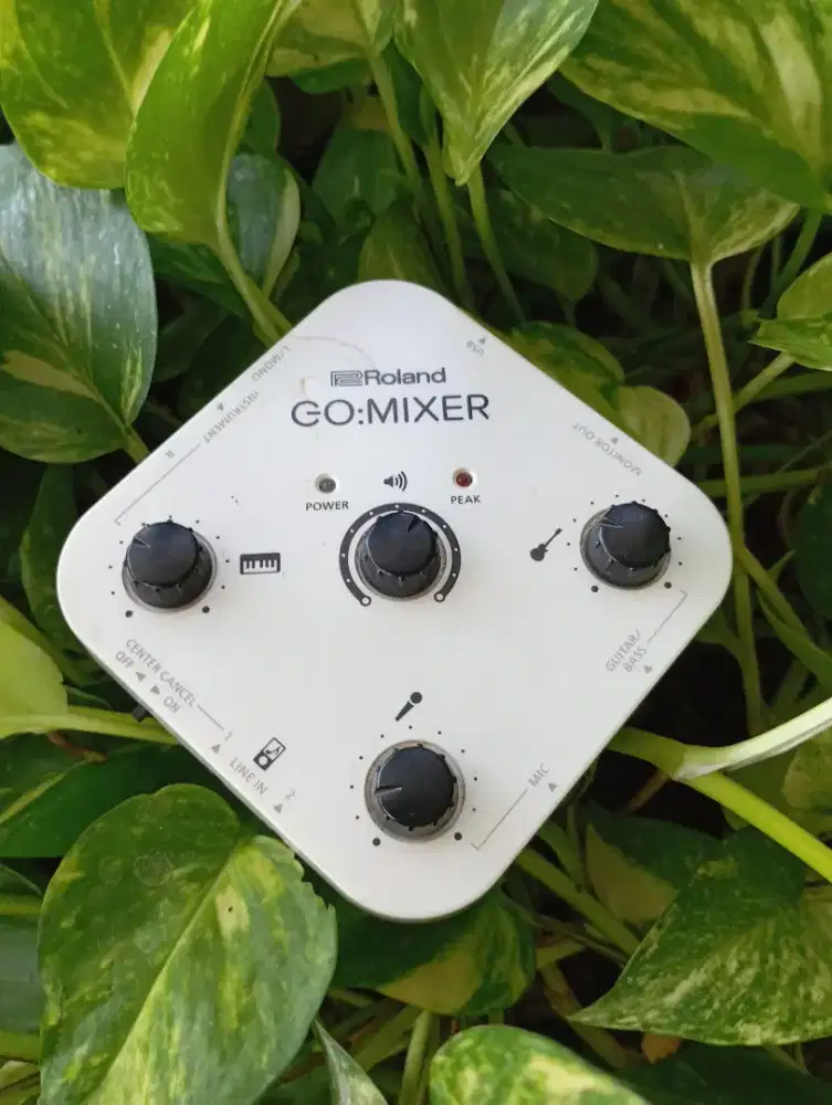 Roland go mixer