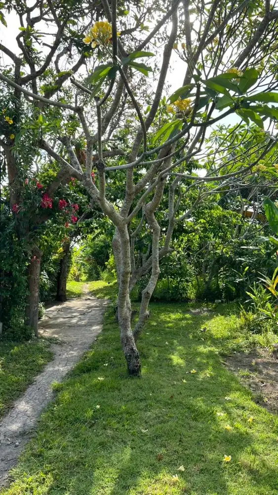 DIJUAL CEPAT TANAH 2 LOT @2 ARE HARGA 200 JT PER ARE