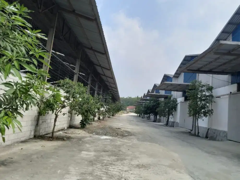 Disewakan  Gudang Luas Berlokasi Strategis di Jonggol – Pinggir Jalan Utama!