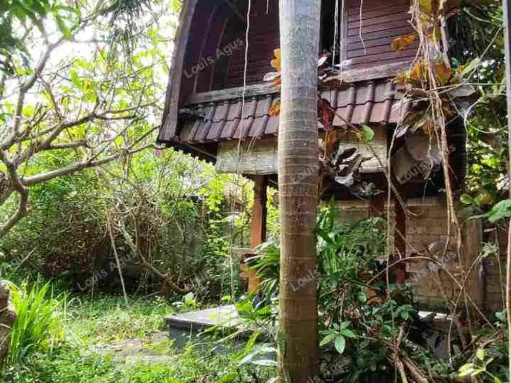 VILLA DAN PENDOPO STRATEGIS DI JL. SELUKAT - KERAMAS, GIANYAR, BALI