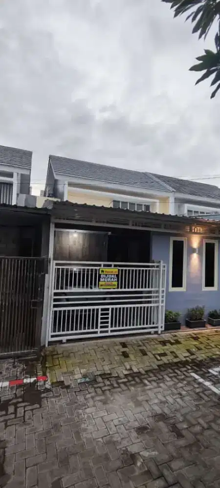 De naila menganti gresik DEKET BENOWO BEBAS SUTET