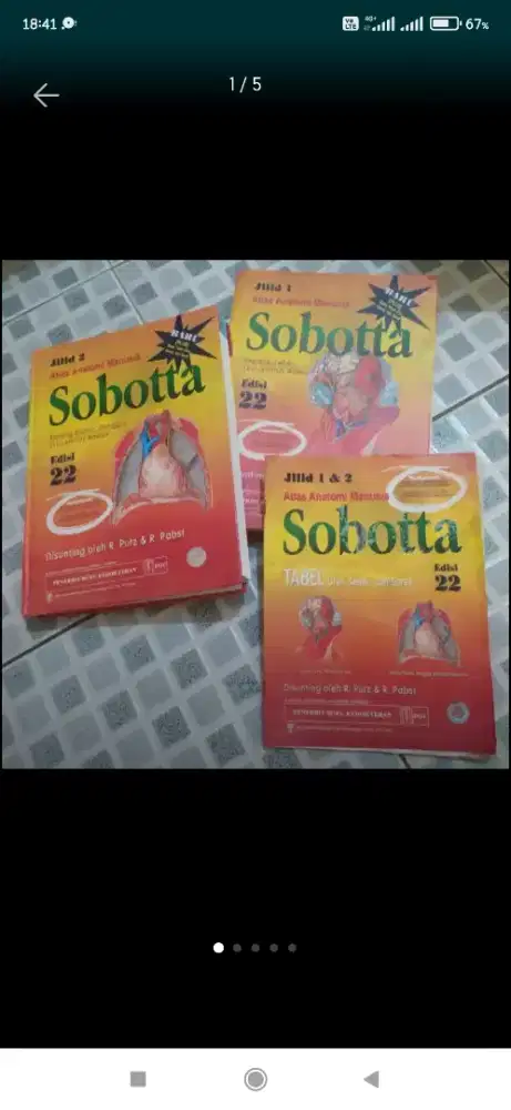 SOBOTTA BULU KEDOKTERAN