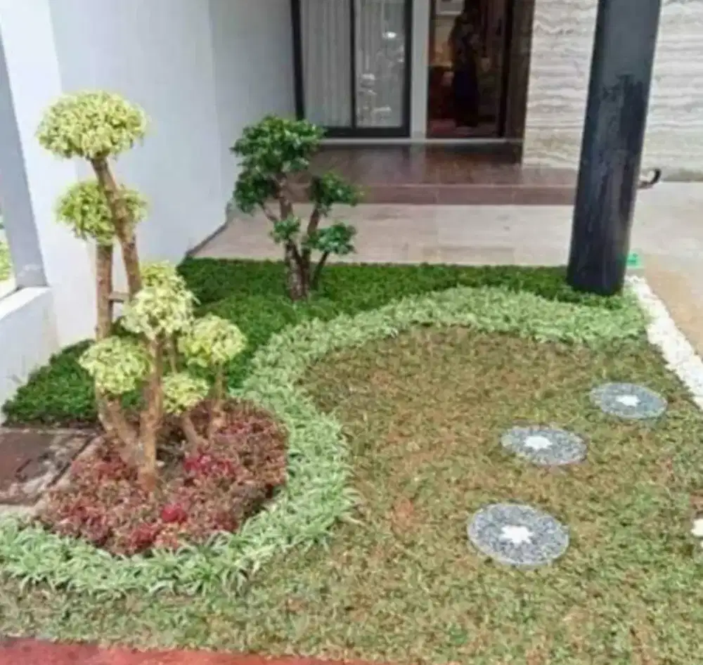 Paket taman# taman minimalis & jual rumput &pohon