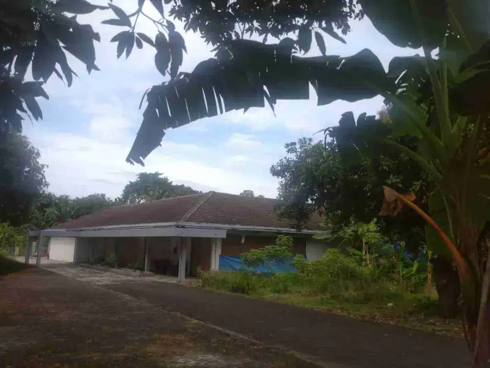 Di Jual Tanah di Jl Daarul Maarif Cipete selatan kec cilandak jakarta selatan

SHM
Luas Tanah 4000 M²
Harga 100 M