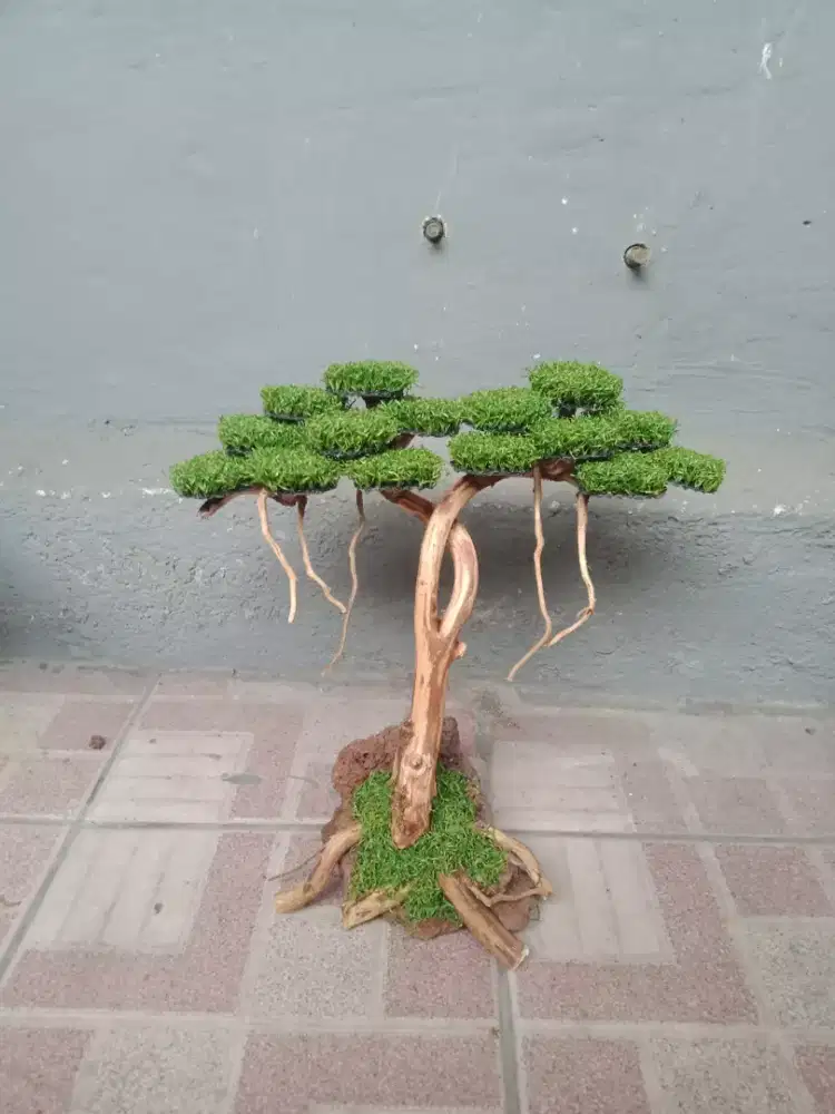 Bonsai sintetis Home Made.