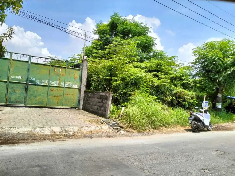 JUAL Cepat Tanah Alas Malang nol jalan