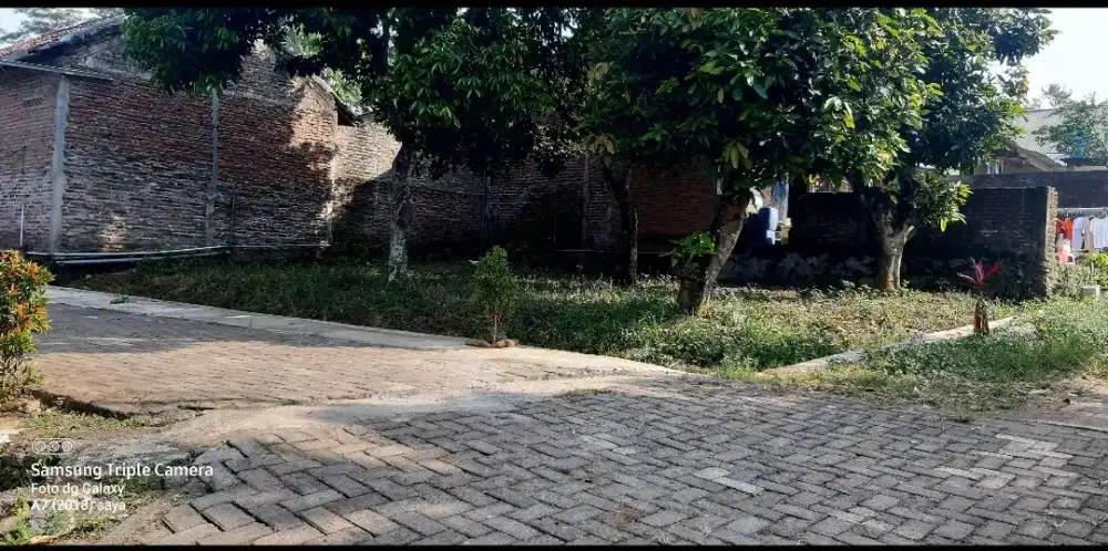 SHM Luas 100 m , Wonolopo Mijen