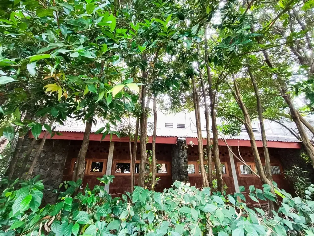 Rumah DIjual BSD Puspita Loka HITUNG TANAH ONLY