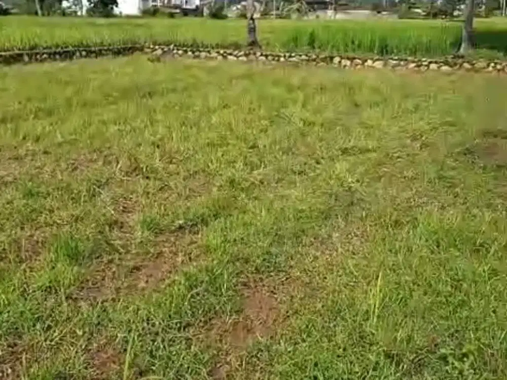 JUAL TANAH 300 M SUDAH PONDASI KELILING  MURAH DEKAT EXIT TOL ITERA