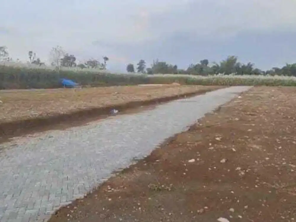 Promo Tanah Kavling Tower Tirtomoyo Pakis dkt Kampus Binus cocok buat