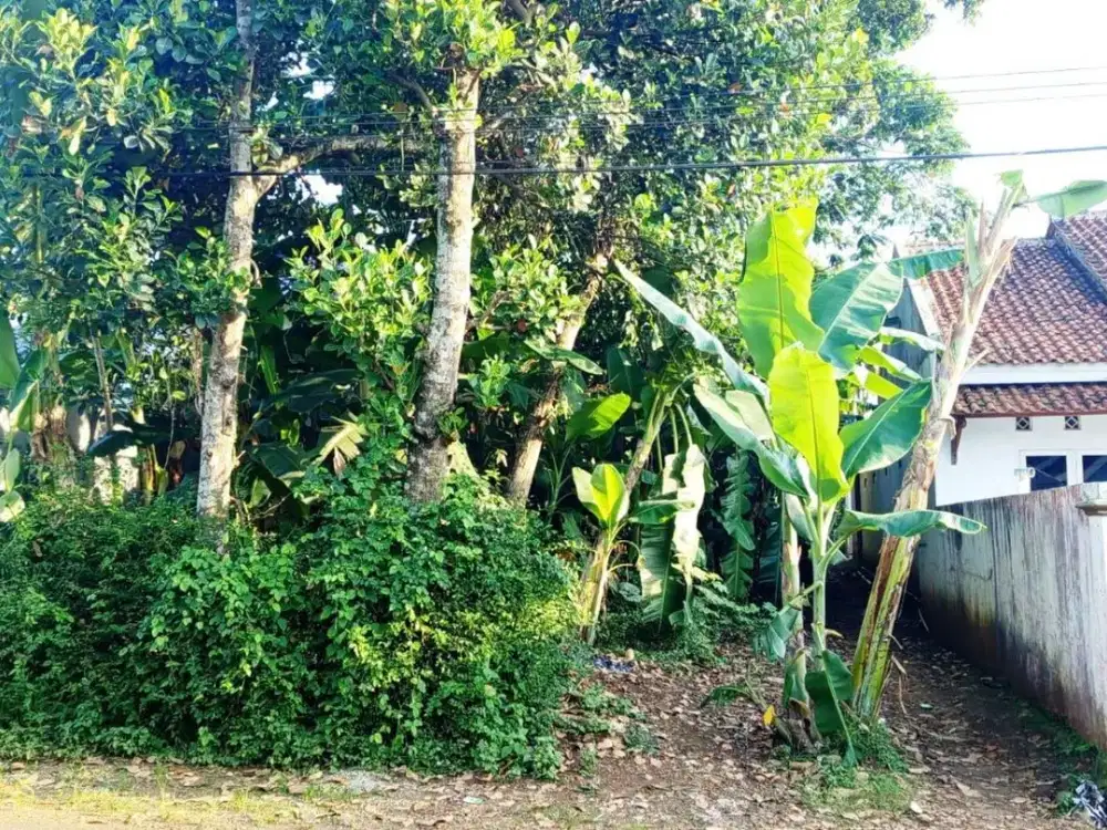 TANAH PEKARANGAN DI JL. WIRADADI SOKARAJA-BANYUMAS (42 UBIN/590M2)