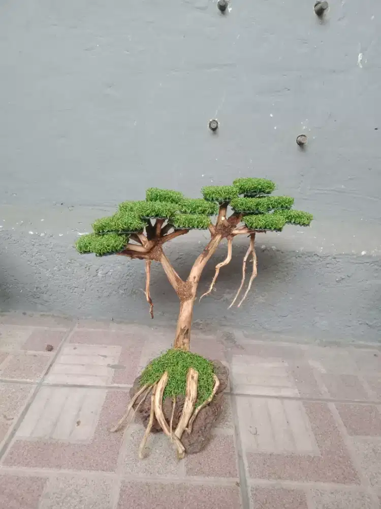 Bonsai sintetis Home Made