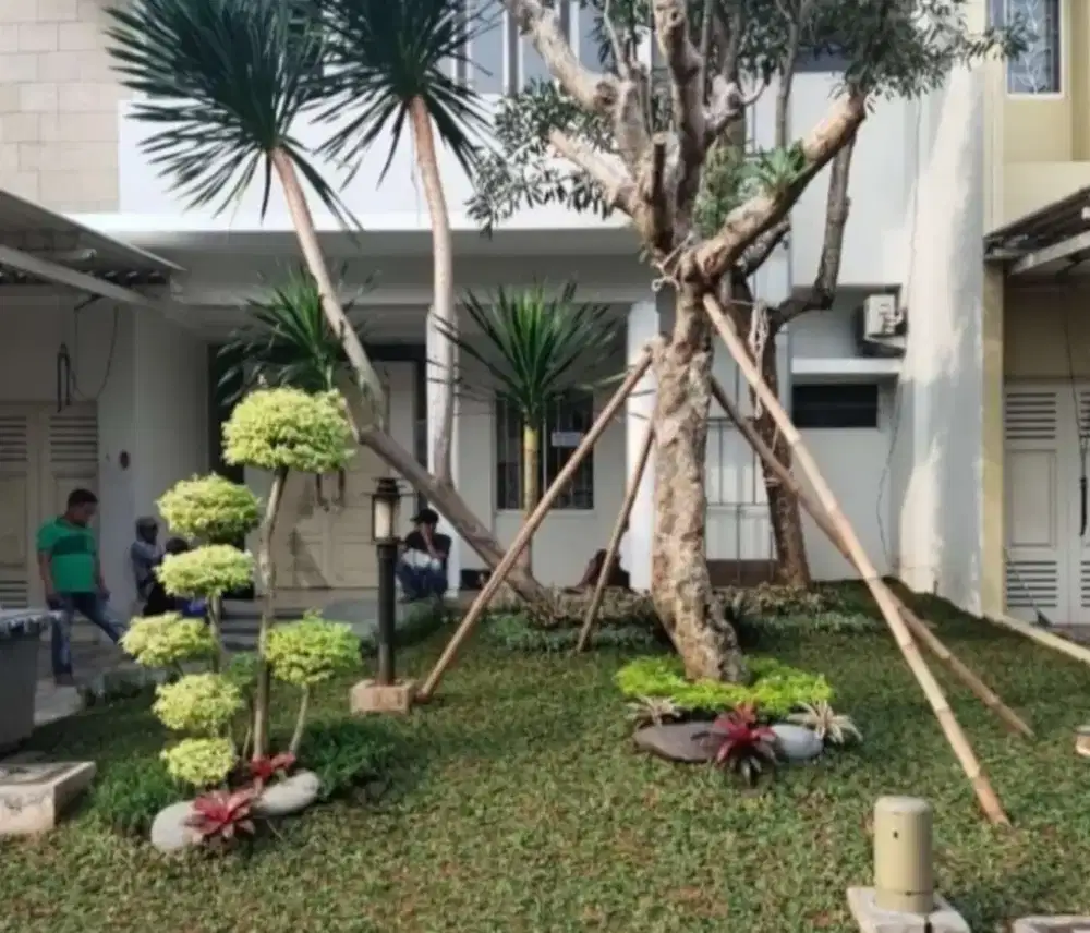 Mnrima dekorasi taman rumput internasional