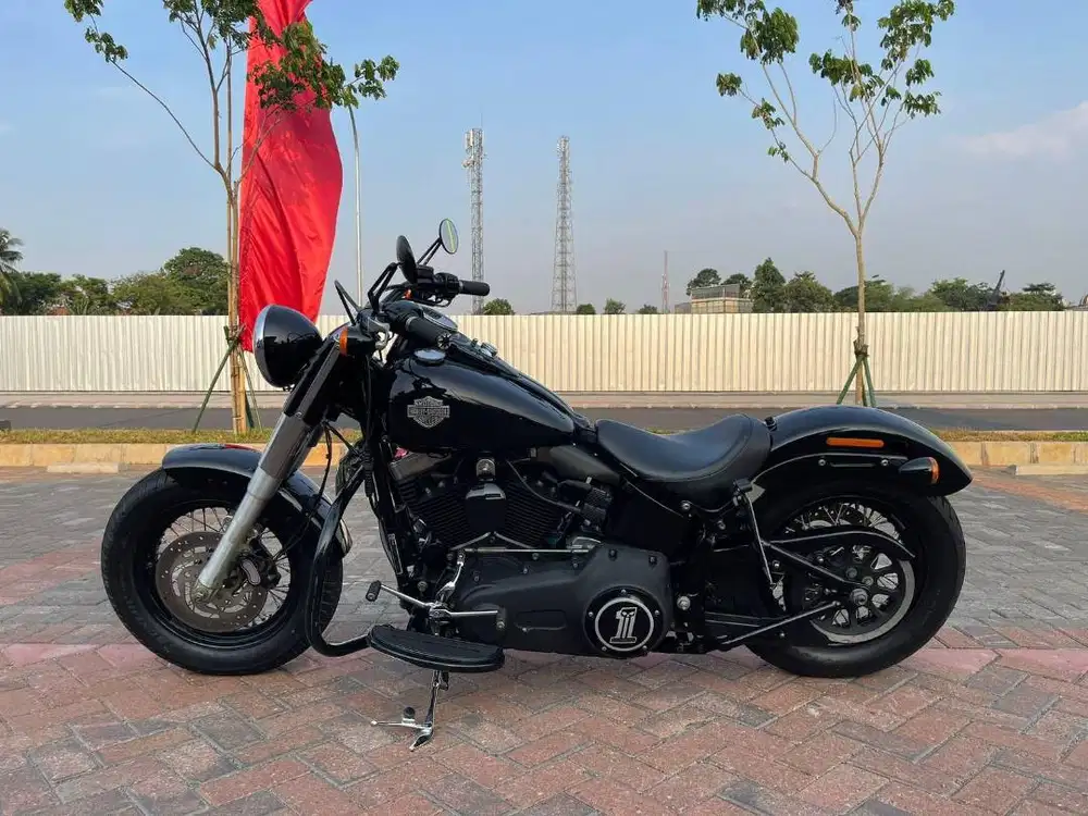 SOFTAIL SLIM 2014 FULL PAPER