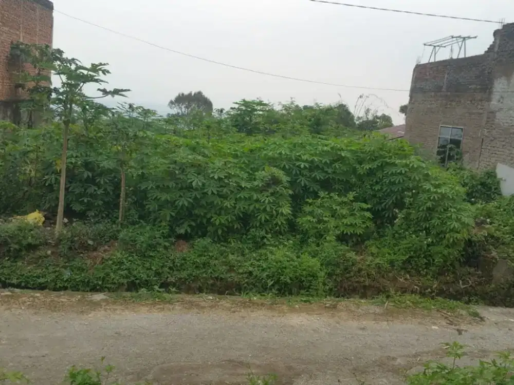 Tanah ujung berung area kotamadya bandung