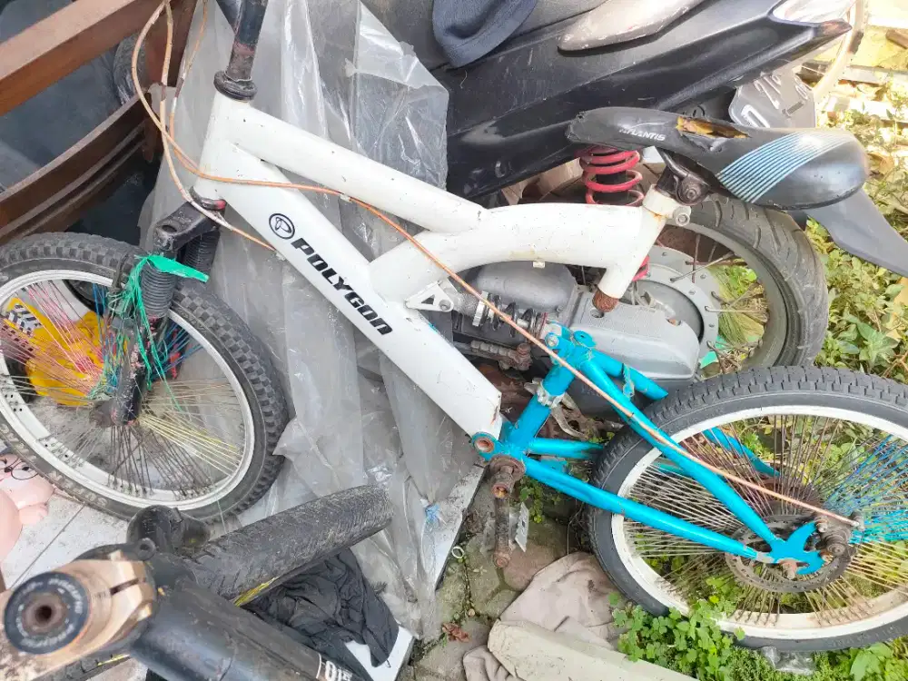 sepeda anak poligxx