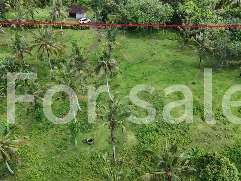 Di jual sebidang tanah kebun di kawasan balian beach
