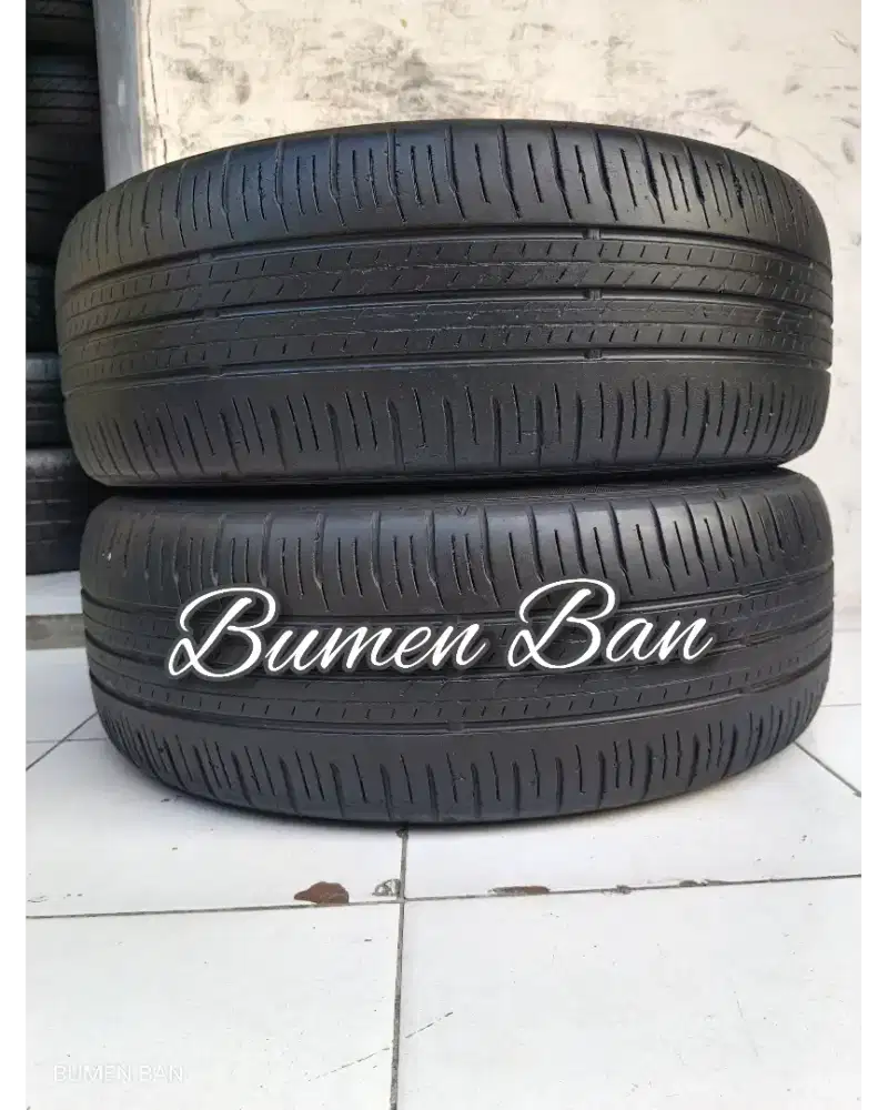 Ban 205 55 R17 Dunlop Enasave XPander