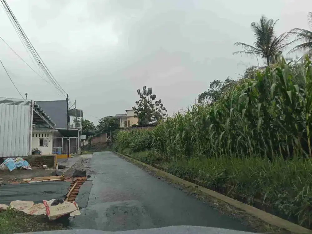 tanah murah Singosari Klampok dekat jalan poros provinsi