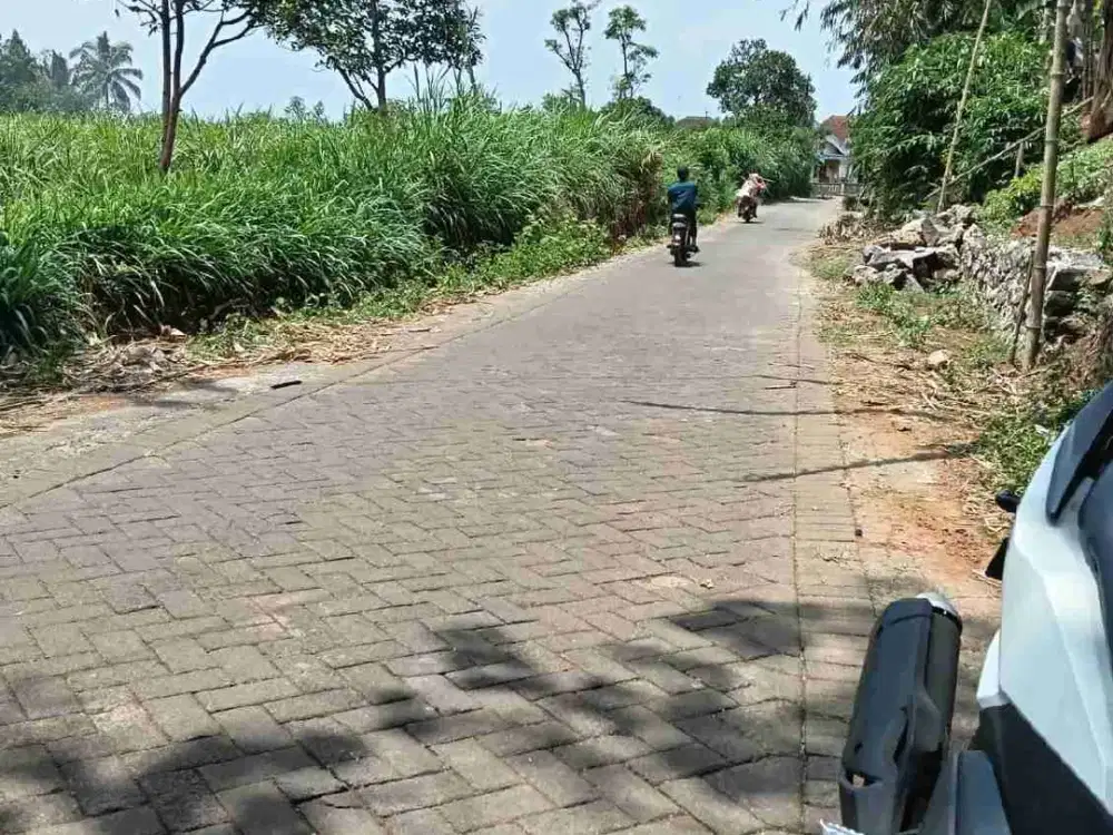 Tanah Strategis Singosari Klampok Cocok Untuk Kavlingan