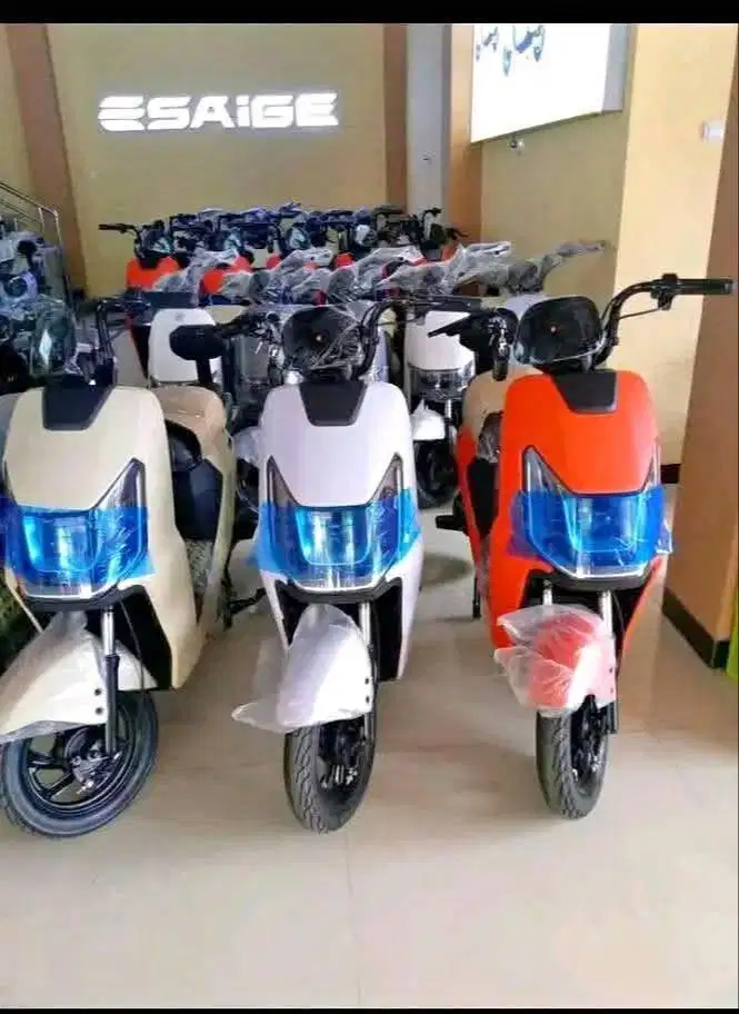 Sepeda Listrik Saige latte Motor Power 600 Watt bergaransi resmi