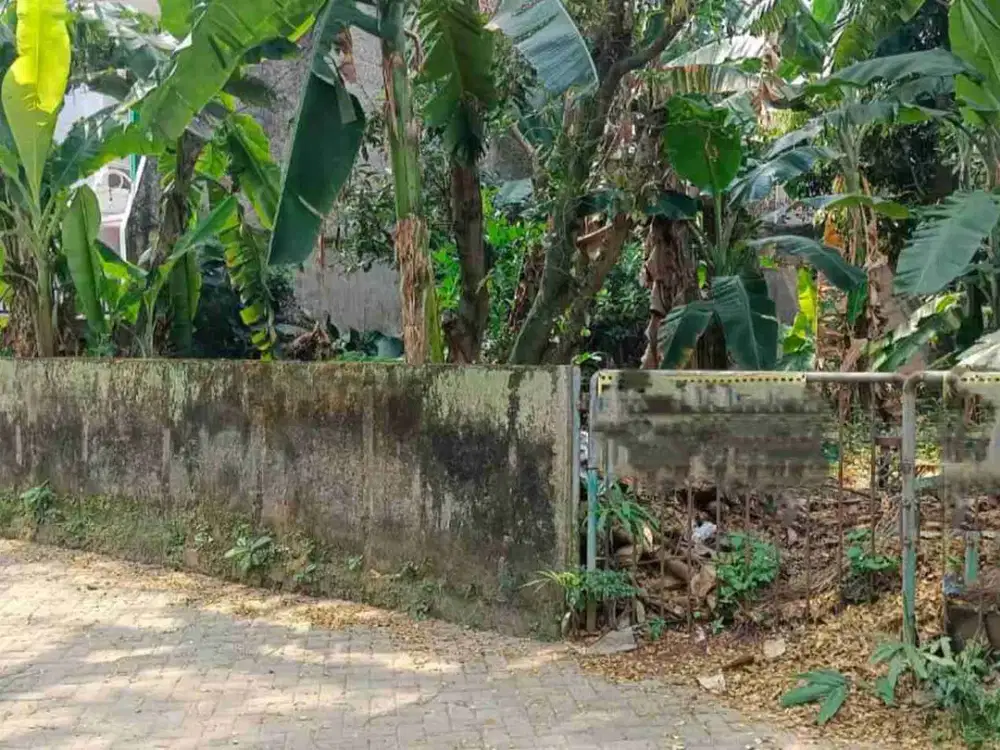 Dijual Tanah di Gandul Cinere Lokasi Strategis

Depok, Jawa Barat