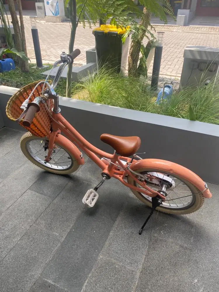 Polygon Alice Cream 16 Inch